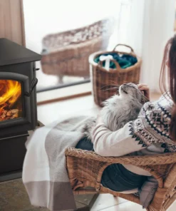 Quadra-Fire 2100 Millennium Wood Stove
